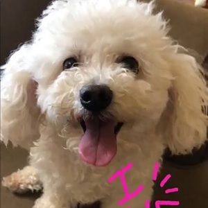 Meet your Posher, Laura